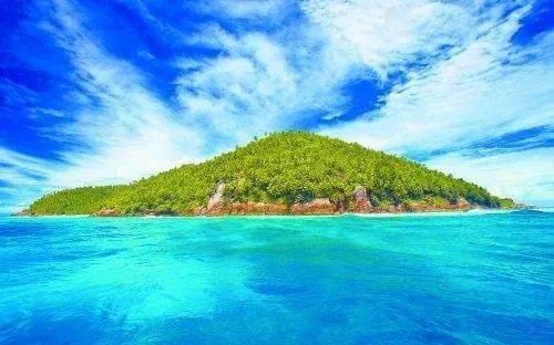 华尔街新欢旧爱本周同台竞技